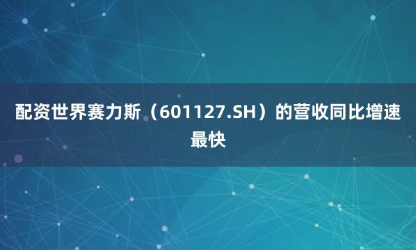 配资世界赛力斯（601127.SH）的营收同比增速最快