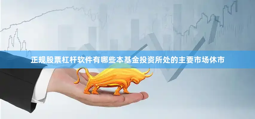 正规股票杠杆软件有哪些本基金投资所处的主要市场休市