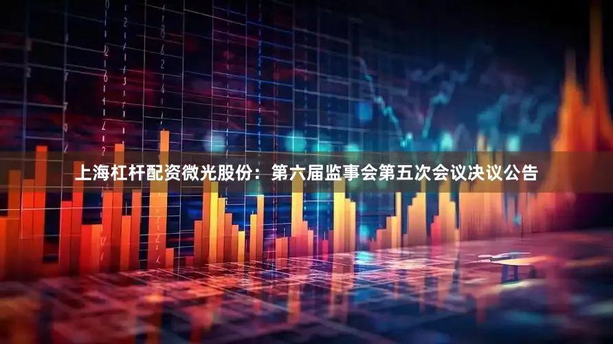 上海杠杆配资微光股份：第六届监事会第五次会议决议公告