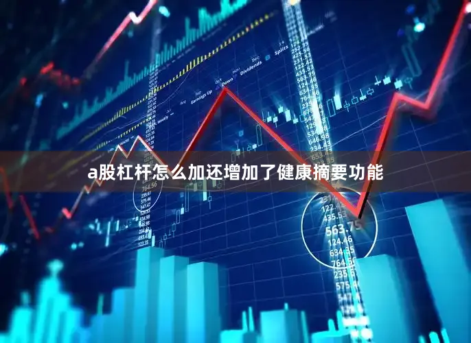 a股杠杆怎么加还增加了健康摘要功能