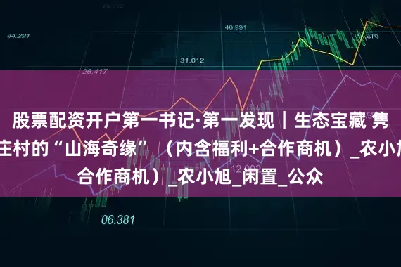 股票配资开户第一书记·第一发现｜生态宝藏 隽秀南山——下庄村的“山海奇缘” （内含福利+合作商机）_农小旭_闲置_公众