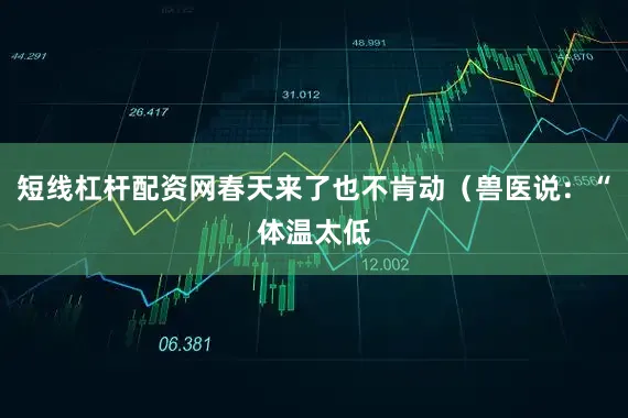 短线杠杆配资网春天来了也不肯动（兽医说：“体温太低