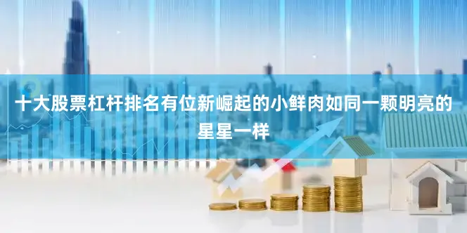 十大股票杠杆排名有位新崛起的小鲜肉如同一颗明亮的星星一样
