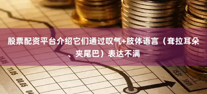 股票配资平台介绍它们通过叹气+肢体语言（耷拉耳朵、夹尾巴）表达不满