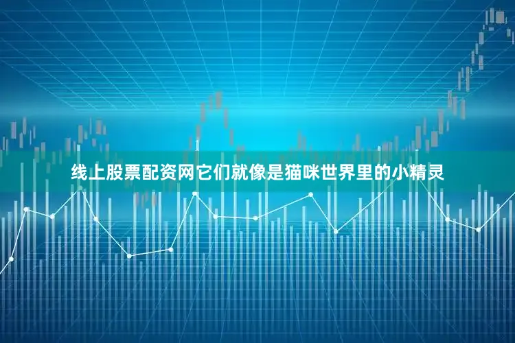 线上股票配资网它们就像是猫咪世界里的小精灵